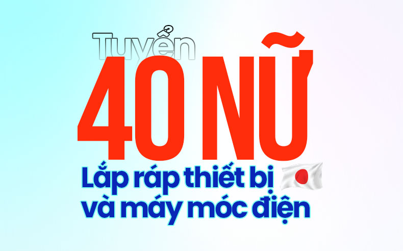 lắp ráp